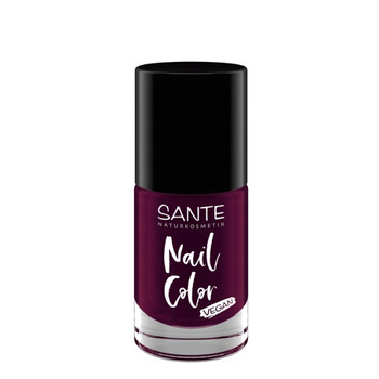 Sante Lakier do paznokci 04 Plumtheory