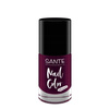 Sante Lakier do paznokci 04 Plumtheory