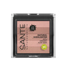 Sante Rozświetlacz w kamieniu 5 odcieni 01 Nude